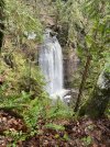 IMG_4910.jpeg