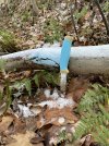 IMG_6756.jpeg