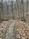 IMG_6749.jpeg