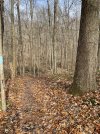 IMG_6747.jpeg