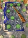 IMG_9821.jpeg