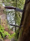 IMG_4911.jpeg