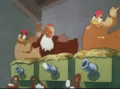 1702614518458.gif