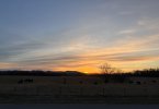 IMG_9786.jpeg