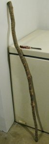 5.stick.standing.jpeg