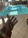 IMG_9240.jpeg