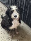 IMG_0102.jpeg