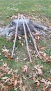 20231209_145044-DDS.jpg