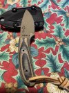 IMG_4831.jpeg
