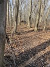 IMG_6764.jpeg