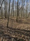 IMG_6766.jpeg