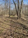 IMG_6769.jpeg