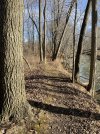 IMG_6771.jpeg