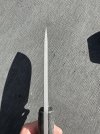 IMG_9403.jpeg