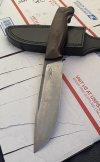 IMG_0582.jpeg