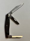 buck-303-1.jpg