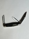 buck-303-3.jpg