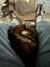 IMG_1078.jpeg