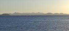 IMG_20231218_171902.jpg