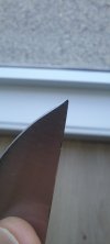 20230310_145655.jpg