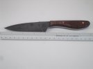 SDC13503.jpg