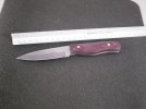 SDC13517.jpg