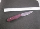 SDC13518.jpg