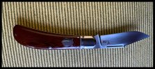 IMG_0905.jpeg