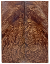 re16114_900x.png