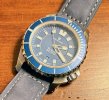 Steinhart-triton.jpg Steinhart-triton.jpg