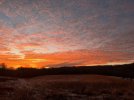 IMG_9920.jpeg