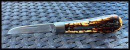 IMG_0920.jpeg