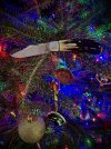 IMG_3469.jpeg