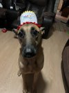 IMG_9158.jpeg