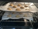 IMG_1207.jpeg