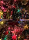 IMG_0007.jpeg