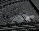 IMG_3740.jpeg