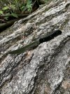 IMG_1165.jpeg