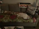 IMG_3606.jpeg