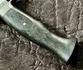 IMG_1179.jpeg