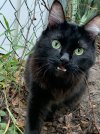 IMG_1974.JPEG
