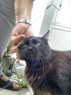 IMG_2084.JPEG