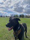 IMG_0704.jpeg