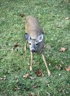 IMG_9826.jpeg