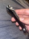 IMG_6484.jpeg