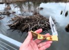 2023-12-23 Stagurday Case Hammerhead Hammerhead Beaver Den.JPG