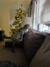 IMG_8199.jpeg