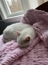 IMG_5998.jpeg