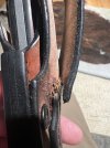 IMG_4973.jpeg