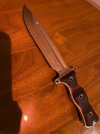 IMG_8582.jpeg